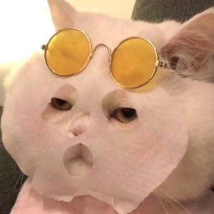 Meet your Posher, Mimi